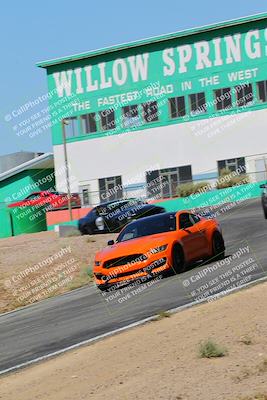 media/May-07-2022-Cobra Owners Club of America (Sat) [[e681d2ddb7]]/Yellow/Session 1 (Turn 4)/